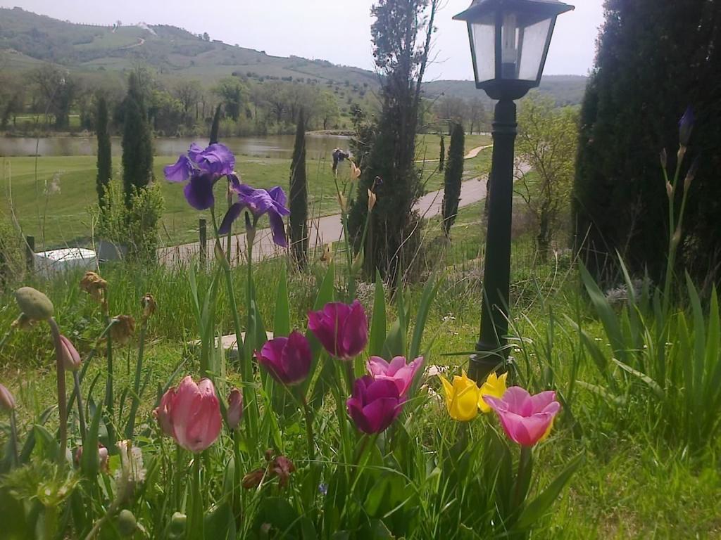 Residence Ai Campi Da Golf Saturnia Exterior photo