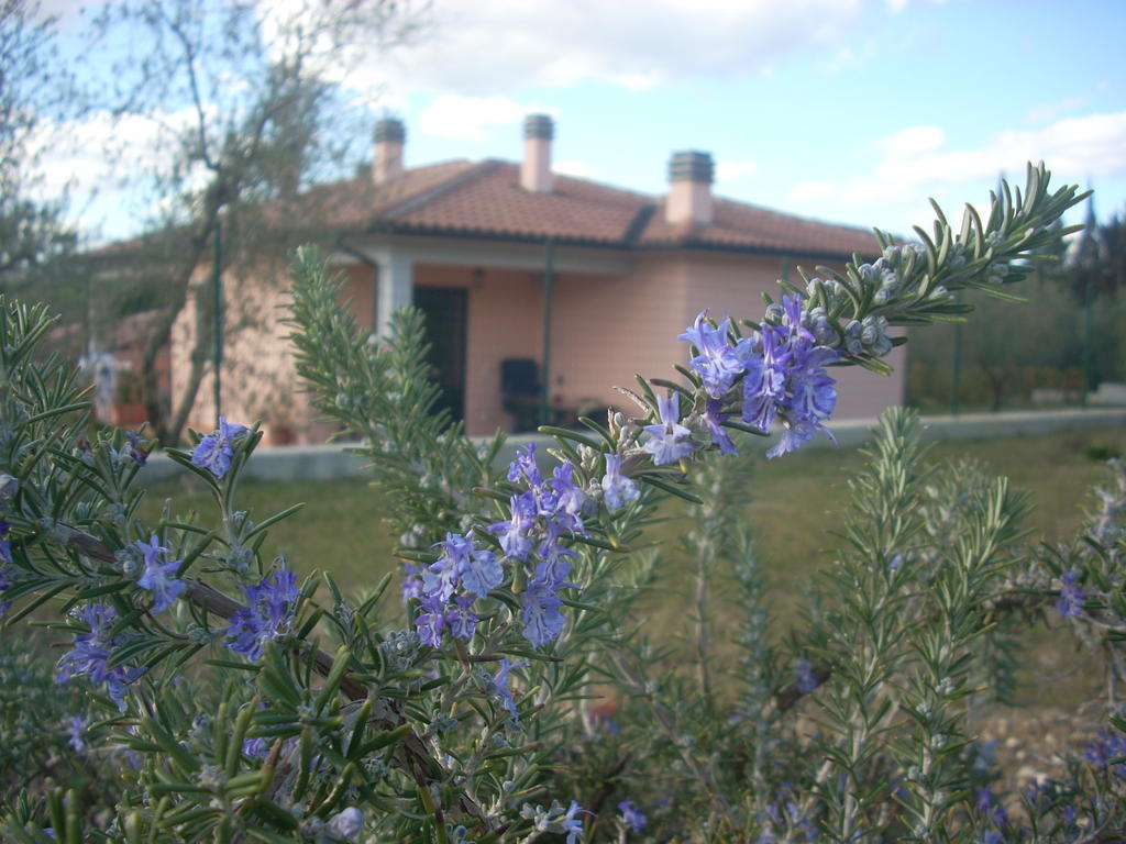 Residence Ai Campi Da Golf Saturnia Room photo