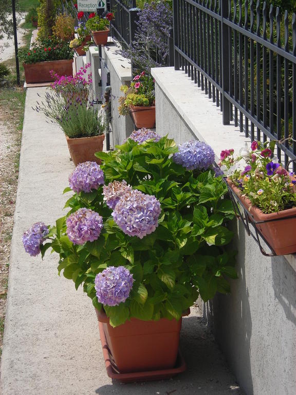 Residence Ai Campi Da Golf Saturnia Room photo